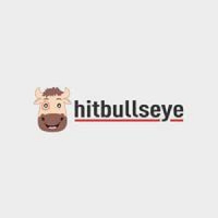 hitbullseyeg