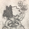 loserbovad