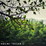 Tgr_28