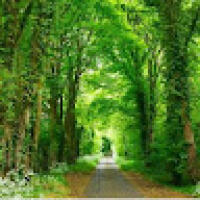 av_manoj_ganapathy