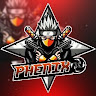 phenixr