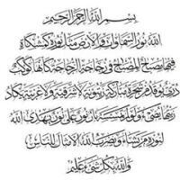 nadirb
