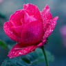 ajayc1