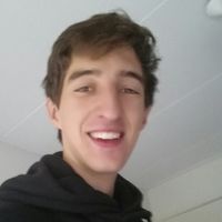 vincentv1