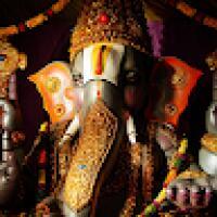 naveenk4418