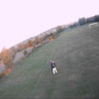 davidw8808