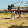 mahmouda2