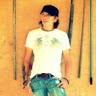 stevea