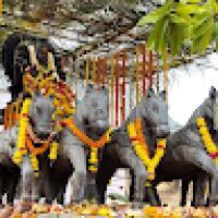 venkatib
