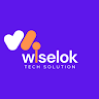 wiselok