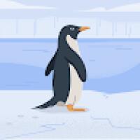 denproj