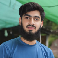 hafizf1