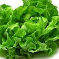 lettucegamerw