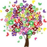domenicob1
