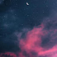 mohammadm8785