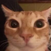 mrfuzzypantsm