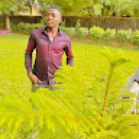 ABDOULAY