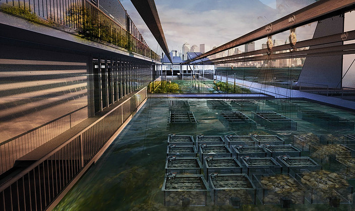 NYC east river farm architectural desig | Cad Crowd NYC east river farm architectural desig