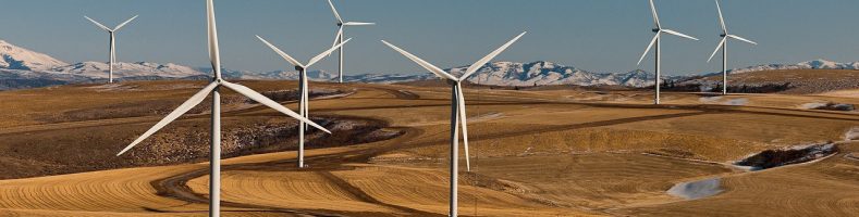 environmentally friendly product design