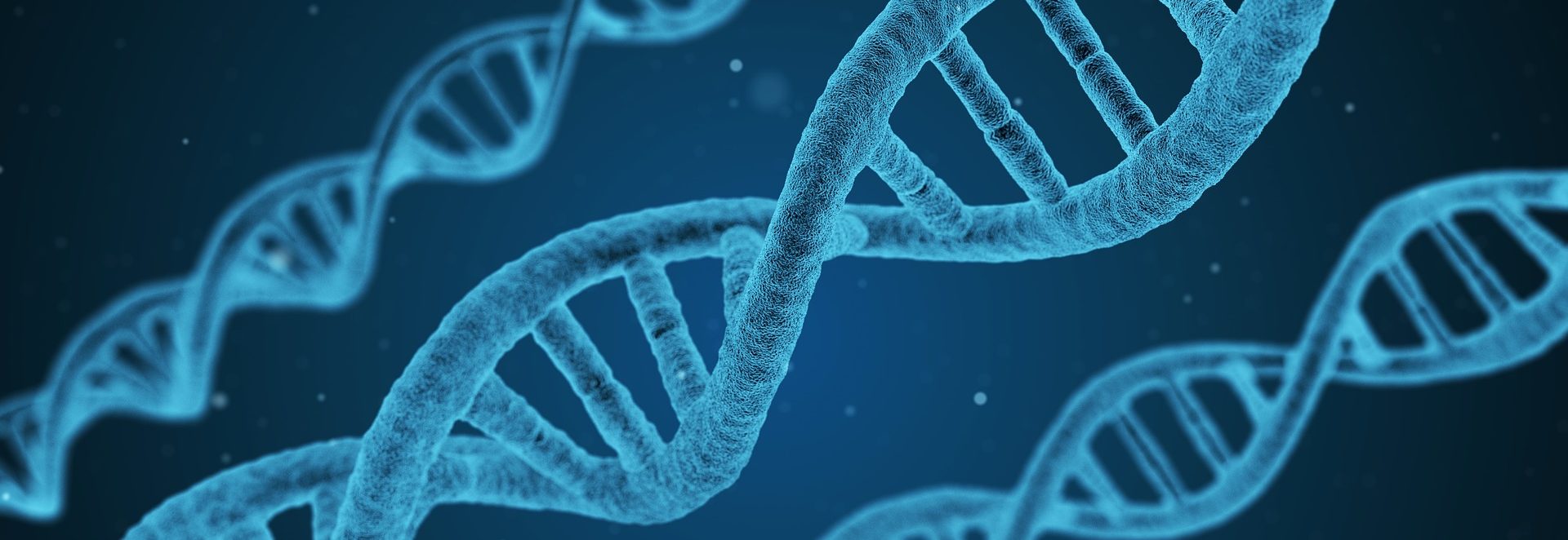 DNA | Cad Crowd three strands of DNA
