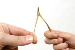 plastic wishbone