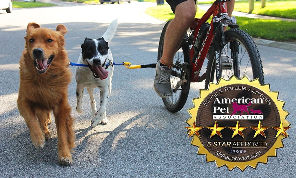 1-Running-Dog Bike Tow Leash