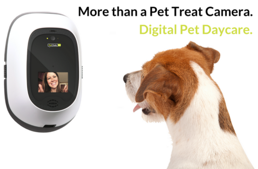 PetChatz HD Pet Camera