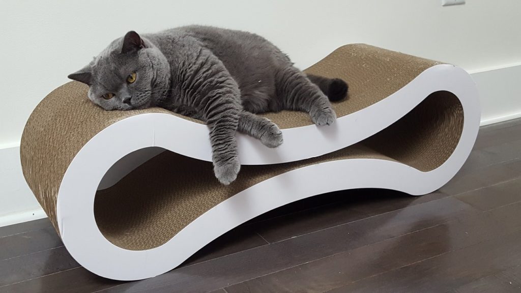 PetFusion Ultimate Cat Scratcher Lounge