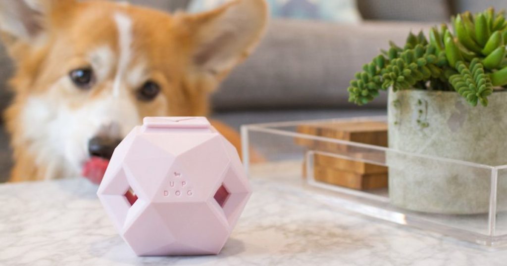 The Odin Treat Dispensing Dog Toy