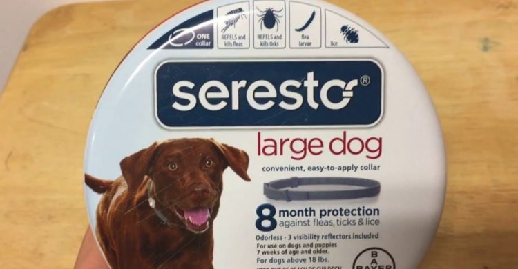 bayer seresto flea and tick collar