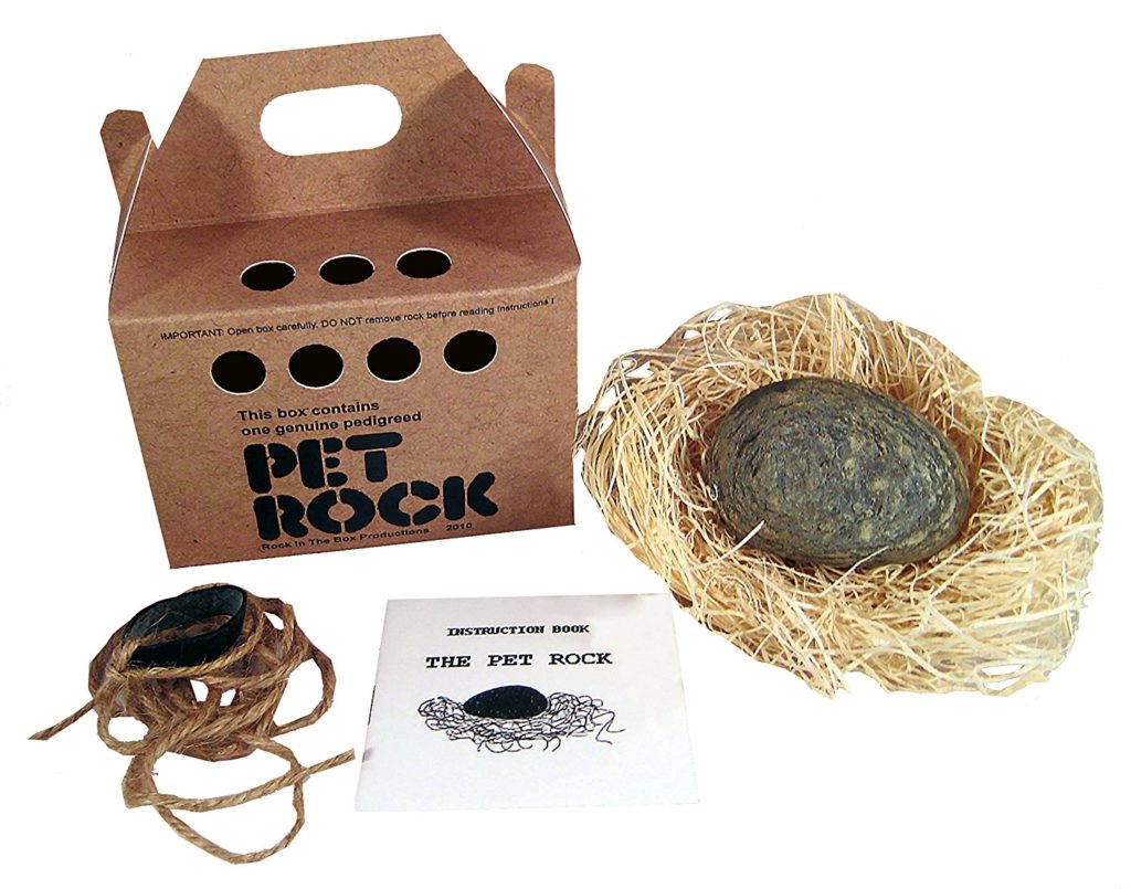 pet rock