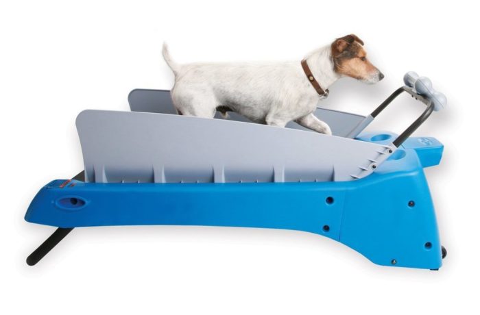 petzen dog treadmill