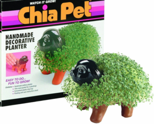Chia Pet by Joe Pedott | Cad Crowd Chia Pet by Joe Pedott