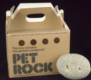 the pet rock invention | Cad Crowd the pet rock invention