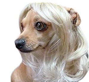 Dog Wigs by Leah Workman | Cad Crowd Dog Wigs by Leah Workman