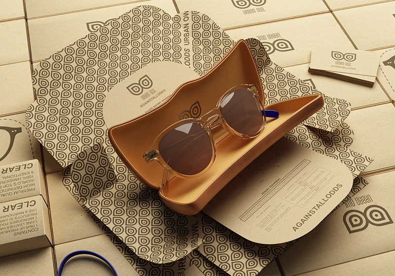 Sunglasses crowdfunding campaign prototype