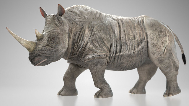 Rhino-by-Chromatophore3d | Cad Crowd Rhino-by-Chromatophore3d