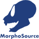 MorphoSource | Cad Crowd MorphoSource