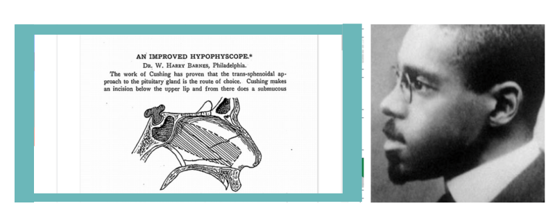 William-Harry-Barnes | Cad Crowd William-Harry-Barnes