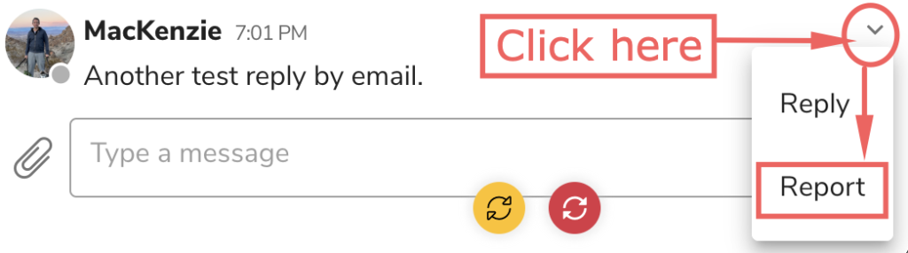 how-to-report-a-message-on-cad-crowd | Cad Crowd how-to-report-a-message-on-cad-crowd