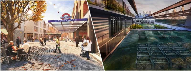 preview3 | Cad Crowd preview3