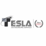 tesla outsourcing services logo