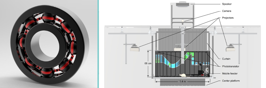 Design examples of bearing and rat dome by Cad Crowd design experts