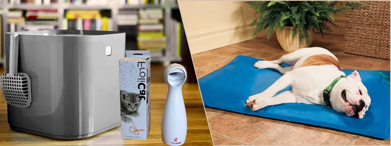 designing-market-ready-pet-products-successfully | Cad Crowd designing-market-ready-pet-products-successfully