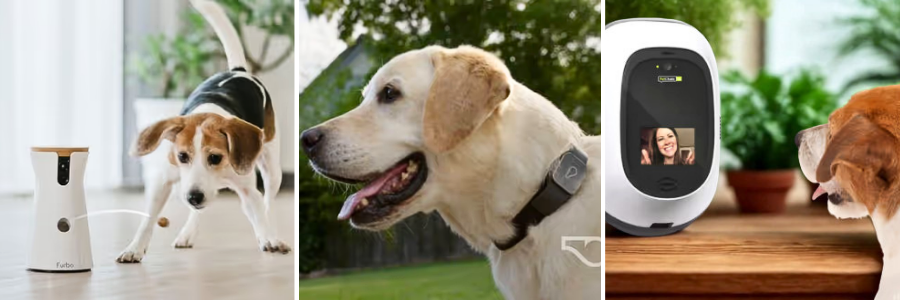 pet-product-design-development-process-guide | Cad Crowd pet-product-design-development-process-guide