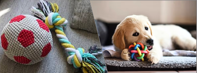 pet-product-prototyping-testing-and-development | Cad Crowd pet-product-prototyping-testing-and-development