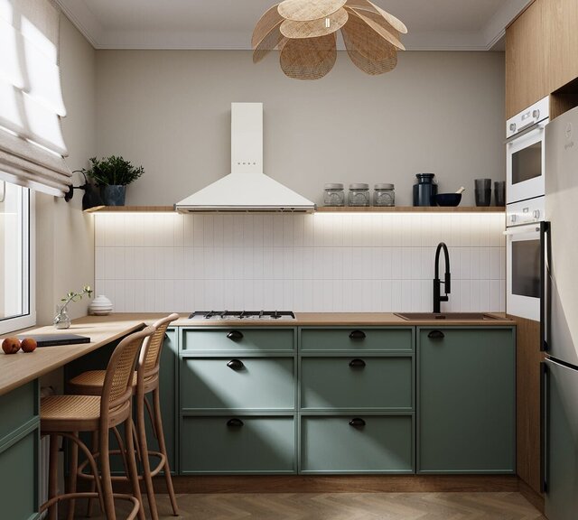 I offer 2D Revit plans 3D renderings for exterior and interior design image 10