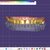 I offer professional dental CAD design (Exocad) for crowns, veneers & implants slider nav image 3