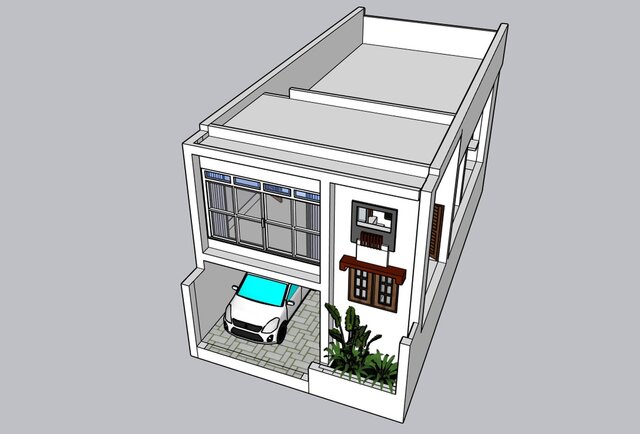 I offer professional SketchUp 3D modeling & visualization