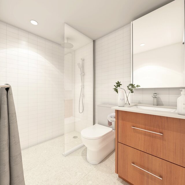 I offer isometric floor plans for single story facade